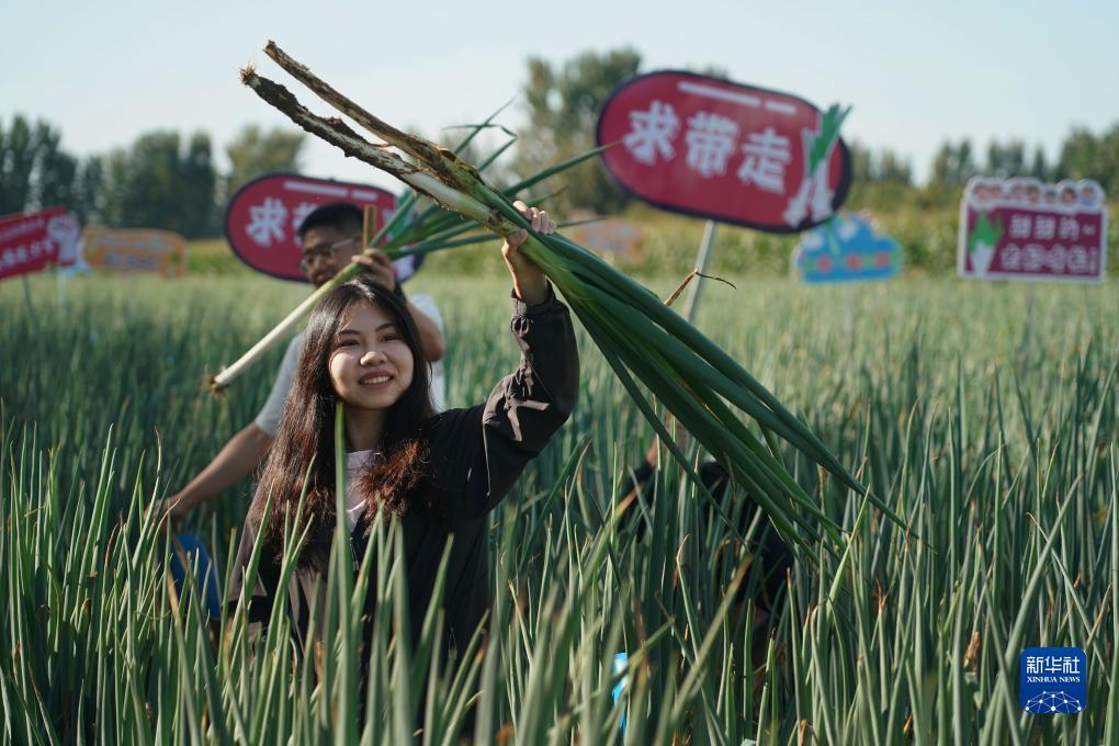 百老汇app下载
